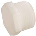 Anderson Metals Plug Nylon Mpt 1/2 In 53621-08